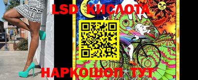 ГАЛЛЮЦИНОГЕННЫЕ ГРИБЫ Свободный