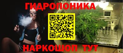 ГАЛЛЮЦИНОГЕННЫЕ ГРИБЫ Свободный