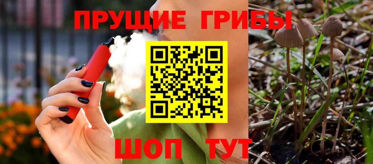 Галлюциногенные грибы мухоморы Советская Гавань